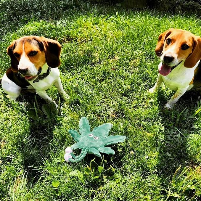 My Name is Mary Jane, Cute Stuffed Parody Marijuana Leaf Dog Toy, Funny Squeaky Weed Toy, Cool Plush Novelty 420 Gift for Puppies & Small, Medium & Large Breeds, For Fetch & a Photo Prop, Shelf-Sitter