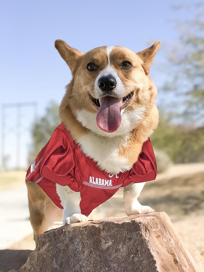 Pets First NCAA College Alabama Crimson Tide Mesh Jersey for Dogs & Cats, Size XX-Large, Licensed Dog Jersey with Your Favorite Football/Basketball College Team (Pack of 2)