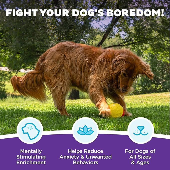 Outward Hound by Nina Ottosson Treat Tumble – Interactive Food-Dispensing Dog Puzzle Ball, Level 1 Beginner, Large, 5.8"