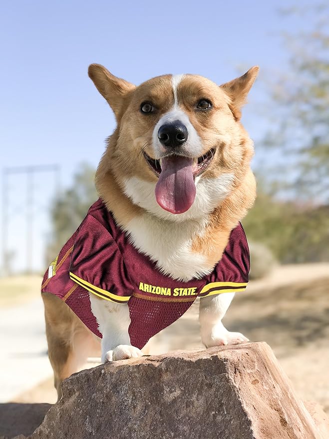 Pets First NCAA College Arizona State Sun Devils Mesh Jersey for DOGS & CATS, Medium. Licensed Dog Jersey with your Favorite Football/Basketball College Team