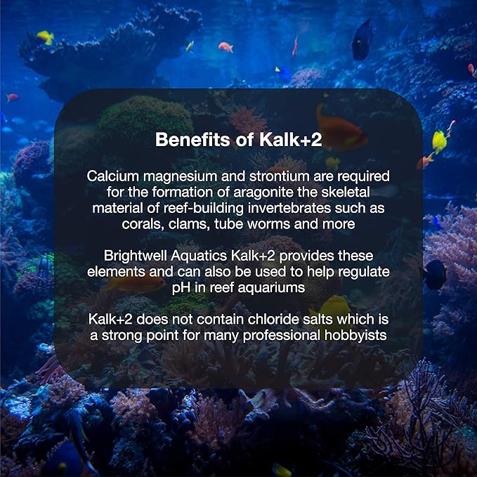 Brightwell Aquatics Kalk+2 – Premium Kalkwasser Powder Supplement with Calcium, Strontium, and Magnesium for Reef Aquariums, pH & Alkalinity Support, 1.8KG