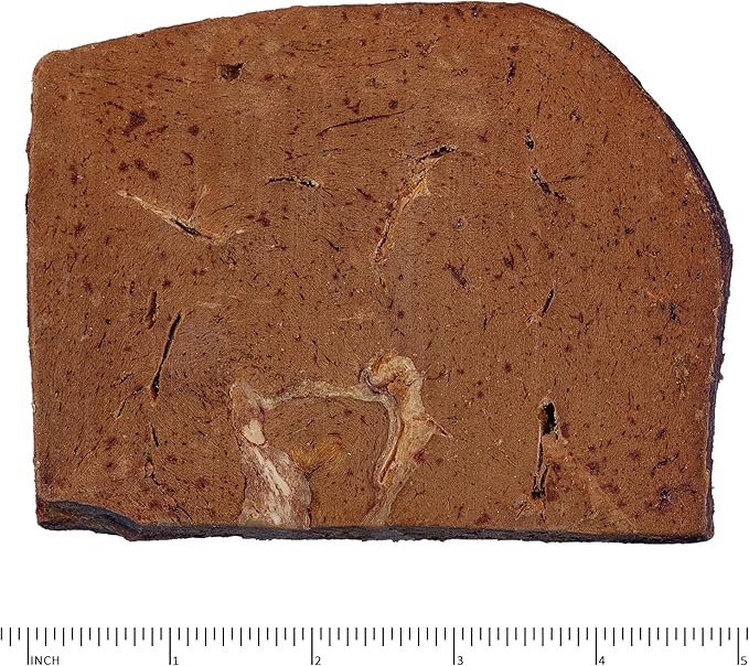 Archetype Treats Beef Liver 5.5 oz. Bag
