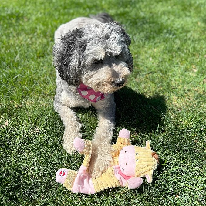 SPOT Soothers- Crinkle Paper Dog Toy-Separation Anxiety Toys for Dogs, Stuffing Free, Scented with Calming Lavender Fragrance Beads to Safely Calm & Relax Dogs and Puppies, 13in