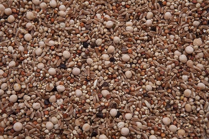 No Corn Regular Pigeon Mix (13%) 8 lbs