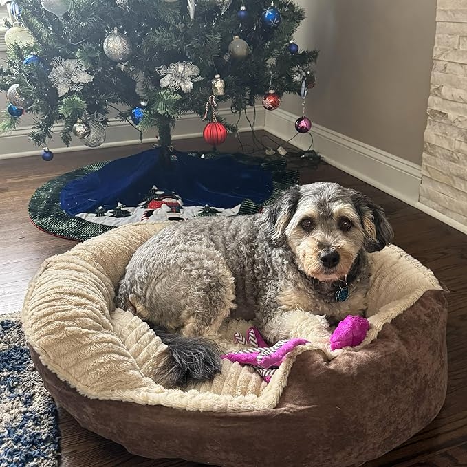 SPOT Sleep Zone Faux Suede Carved Plush Lounger, Cuddler, Napper Dog Bed - Fabric Bottom - 32X25 Inches/Chocolate/Attractive, Durable, Comfortable, Washable