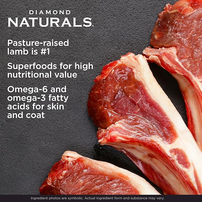 Diamond Naturals Large Breed Dry Puppy Food Real Lamb and Rice Protein, Probiotics, Superfoods, Antioxidants and Other Premium Ingredients to Support Health in Growing Puppies 20lb