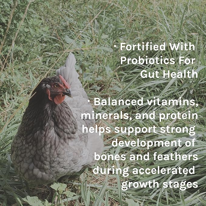 New Country Organics | Organic Grower/Broiler Feed for Growing Chickens | Soy-Free | 19% Protein | Certified Organic and Non-GMO | 25 lbs