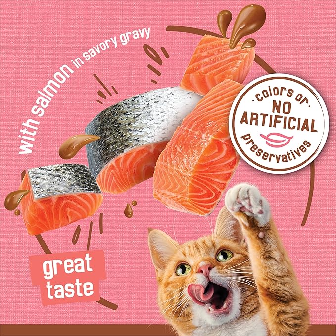 Friskies Purina Extra Gravy Wet Cat Food Chunky with Salmon in Savory Gravy - 5.5 oz. Cans,(Pack of 48)