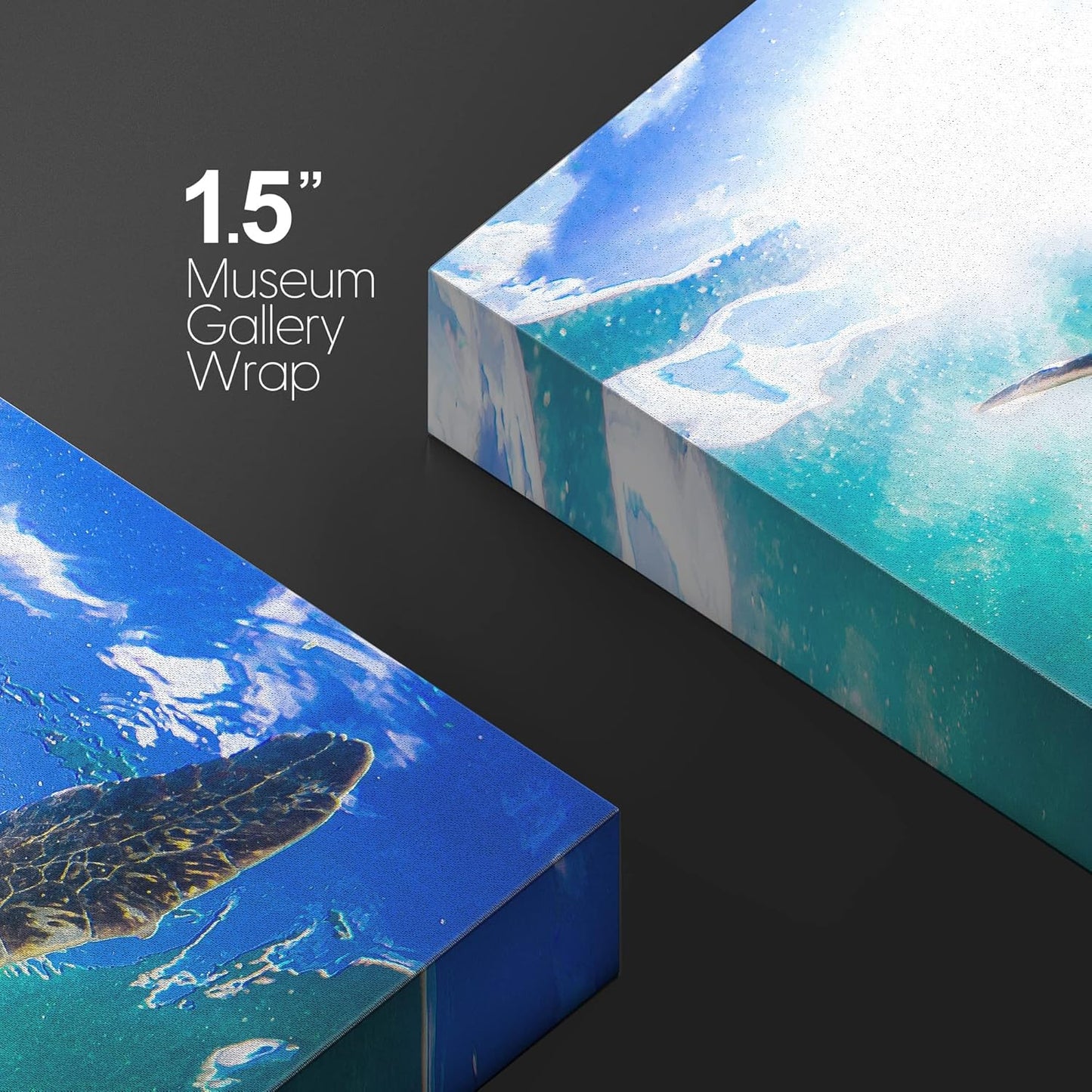 wall26 Canvas Print Wall Art Sunlight Tropical Ocean Underwater Turtle Nature Animals Photography Realism Rustic Scenic Landscape Wilderness Earth Colorful for Living Room, Bedroom, Office - 12"x18"