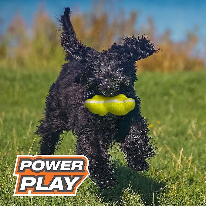 Nylabone Power Play Tennis Ball Teddy Bear Gripz Felt Rubber Fetch Toy, Squeaky Toys for Dogs, Medium (1 Count)