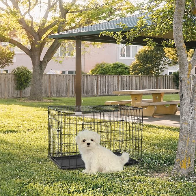 FDW 24-Inch Dog Crate for Small Dogs, Double Door Folding Metal Wire Pet Kennel with Divider Panel & Leak-Proof Plastic Tray, Black