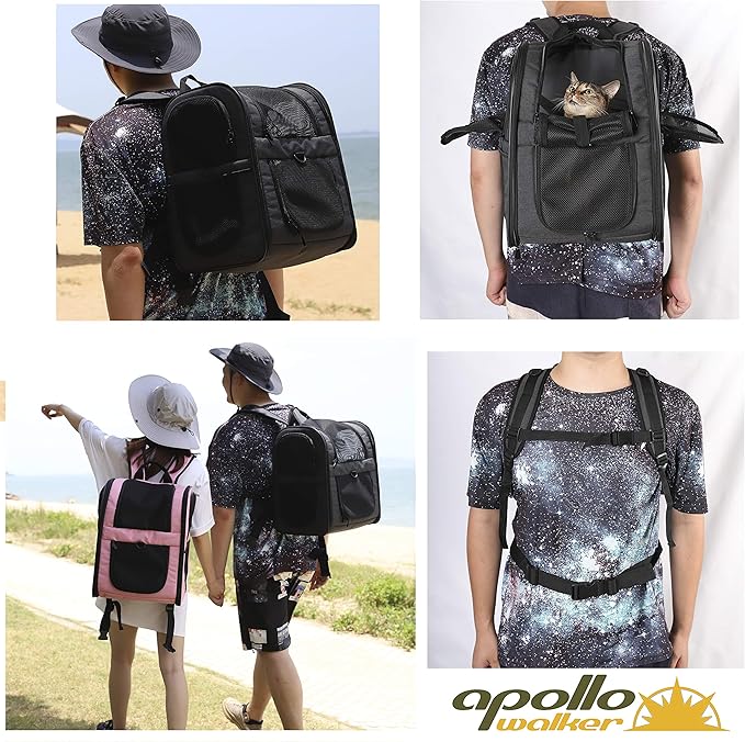 Apollo Walker Dog & Cat Carrier Backpack for 4-18lb Pets - Ventilated Safe Design with Padded Back Support, Breathable Mesh Pet Backpack for Hiking, Travel, Outdoor (Black)
