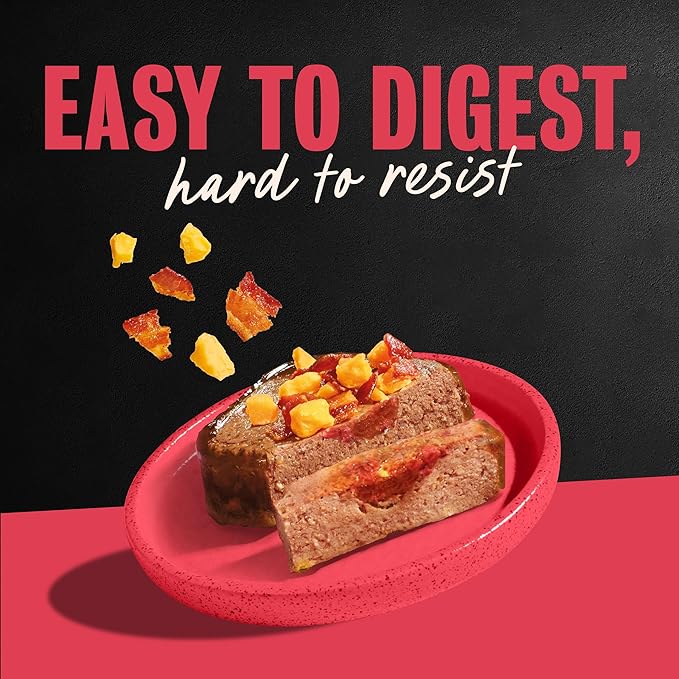 Cesar Loaf & Topper in Sauce Wet Dog Food Angus Beef Flavor with Bacon & Cheese, 3.5 oz. Easy Peel Trays, 24 Count (Pack of 1)
