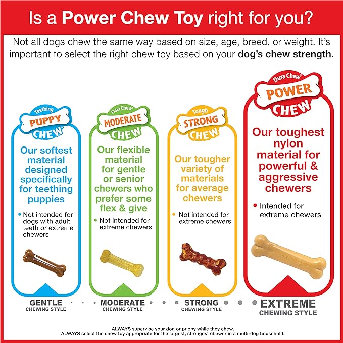 Nylabone Dura Textured Ring Bone Dog Chew Toy, Large