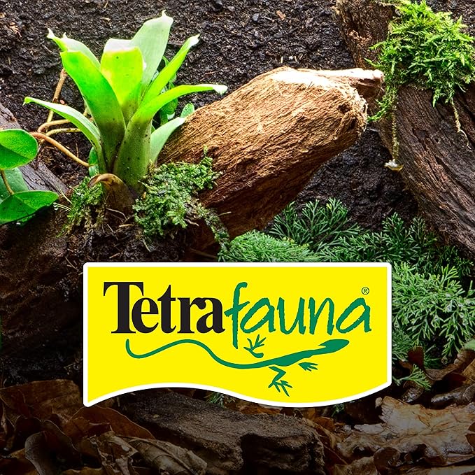 TetraFauna ReptoGuard Turtle Health Water Conditioner 1 Count, Slow-Release (Pack of 2)