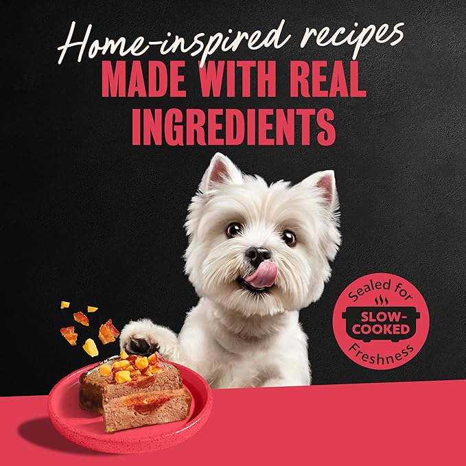 Cesar Loaf & Topper in Sauce Wet Dog Food Angus Beef Flavor with Bacon & Cheese, 3.5 oz. Easy Peel Trays, 24 Count (Pack of 1)