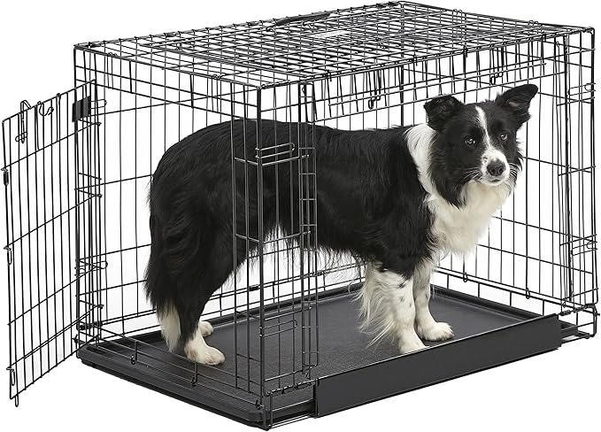 MidWest Homes for Pets Intermediate Ovation Double Door 36-inch Folding Metal Dog Crate, Front and Up & Away Side Doors, Space-Saving Design
