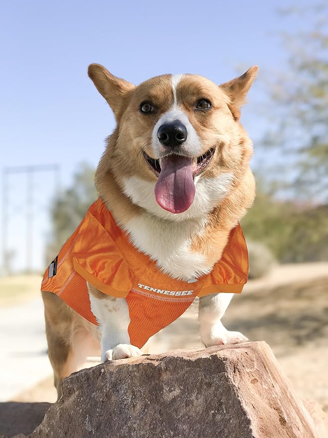Pets First NCAA TENNESSEE VOLUNTEERS DOG Jersey, Large. BEST Football/Basketball Pet Outfit for the die-hard fans of the TENNESSEE VOLUNTEERS College Sports Team. (TN-4006-LG)