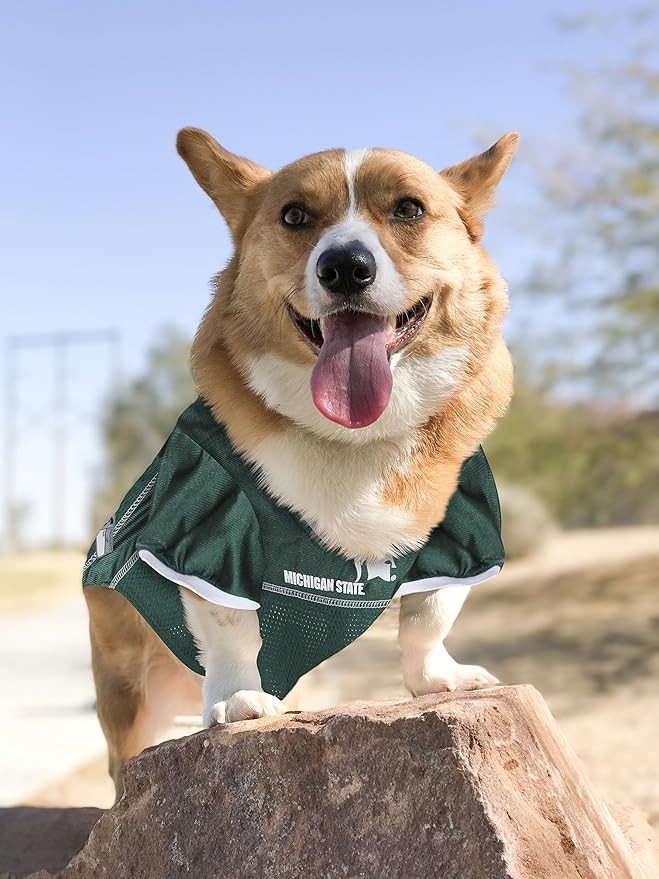 Pets First NCAA College Michigan State Spartans Mesh Jersey for Dogs & Cats, Size XX-Large, Licensed Dog Jersey with Your Favorite Football/Basketball College Team (Pack of 2)