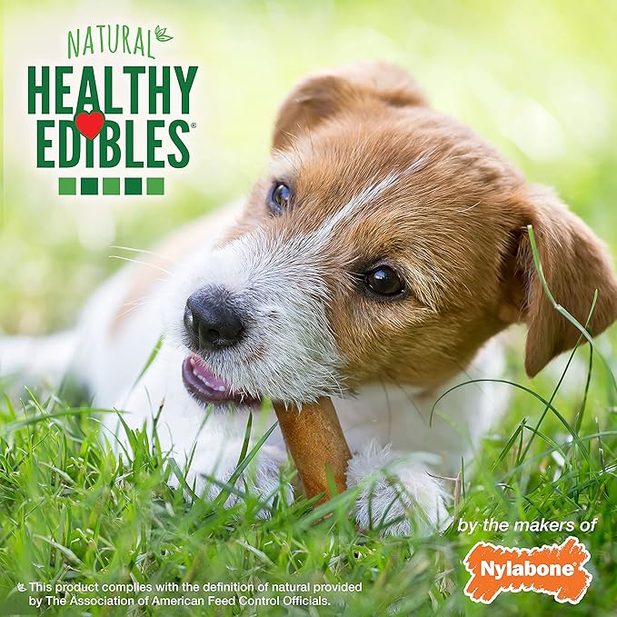 Nylabone Healthy Edibles Natural Dog Chews, Long Lasting Bones for Dogs, Roast Beef Flavor Dog Treats, Small (3 Count)