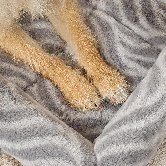 MidWest Homes For Pets QuiteTime Deluxe Wave Bolster Bed for Small Dogs; Easily Machine Wash and Dry; Gray; 22"; 40222-WVGY (Pack of 2)