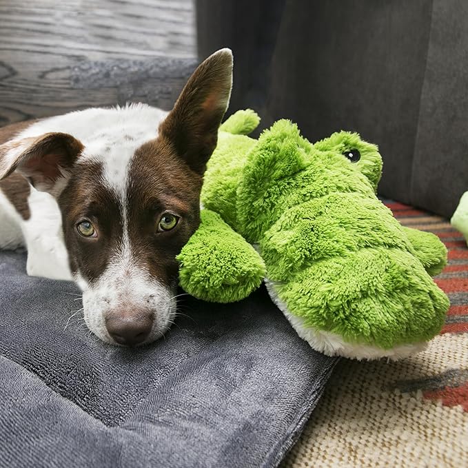 KONG XL 2 Pack - Soft Plush Dog Toy for Large Breeds - Durable, Cuddly & Squeaky - Perfect for Play & Comfort (Alligator/Bear)