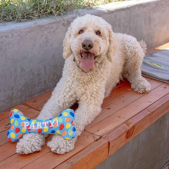 Huxley & Kent Funny Dog Toy w/Squeaker – Birthday Power Plush Squeaky Dog Toys for Small, Medium & Large Dogs – Soft Stuffed Animal for Indoor Play & Fetch - Party Time Blue Bone, Small