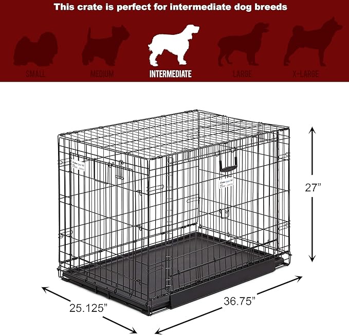 MidWest Homes for Pets Intermediate Ovation Double Door 36-inch Folding Metal Dog Crate, Front and Up & Away Side Doors, Space-Saving Design