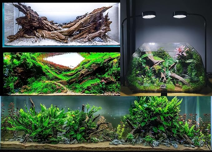 Azil Natural Driftwood 9''-12'' (2 Pieces) – Perfect Aquarium Decoration for Fish Tanks, Freshwater Aquariums, Terrariums, Aquascaping, Hardscaping, Aquatic Plants
