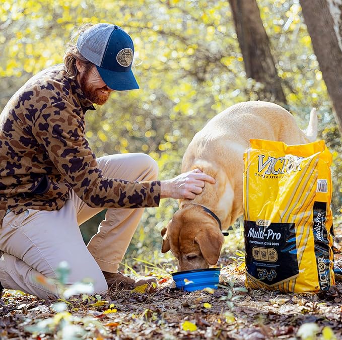 Victor Super Premium Multi-Pro Dry Dog Food Gluten Free with Beef, Chicken and Pork Protein for Normally Active Dogs All Breeds and Life Stages, 15 lb