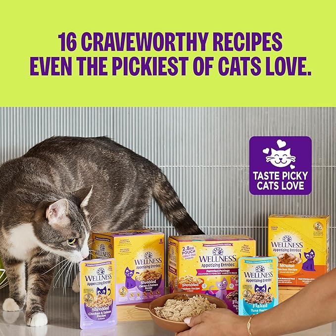 Wellness Appetizing Entrées Shredded Adult Wet Cat Food, Natural, Protein Rich, Grain Free, Chicken Recipe, 1.4 oz, Pack of 8 Pouches