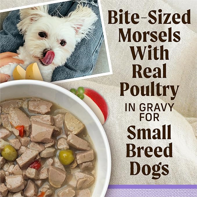 Merrick Lil Plates Wet Dog Food for Small Breed Puppies, Pint-Sized Puppy Plate in Gravy with Real Deboned Chicken, 3.5 oz Tub
