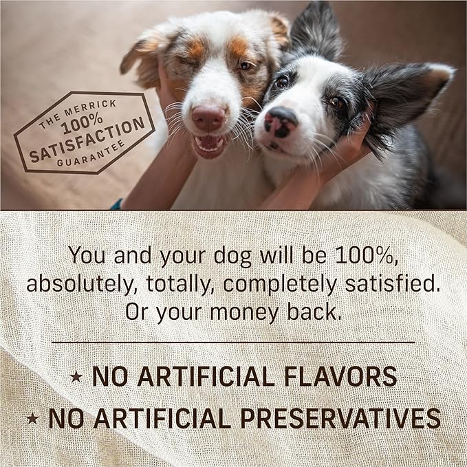 Merrick Puppy Plate Grain Free Wet Puppy Food with Real Deboned Beef, Carrots, Sweet Potatoes and Apples in Gravy, 12.7 oz. Can