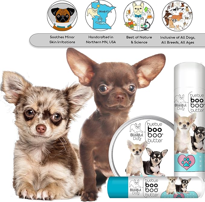 The Blissful Dog BB-CHILONG-16OZ Chihuahua Boo Butter, 16 oz.