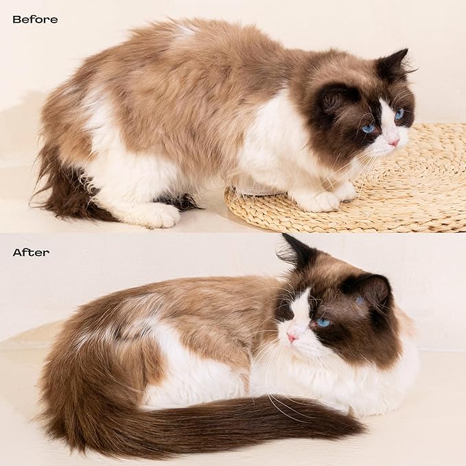Cat Concentrated Waterless Rinse-Free Shampoo & Conditioner – DIY Dry Shampoo Spray or Towel Cleanse for Cats - Sensitive Skin, Stress & Itch Relief – 98.65% Naturally Derived