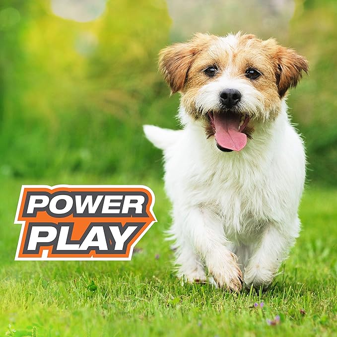 Nylabone Power Play Tennis Gripz Fetch Toy, Squeaky Tennis Ball Chew Toy for Dogs, Small (3 Count)