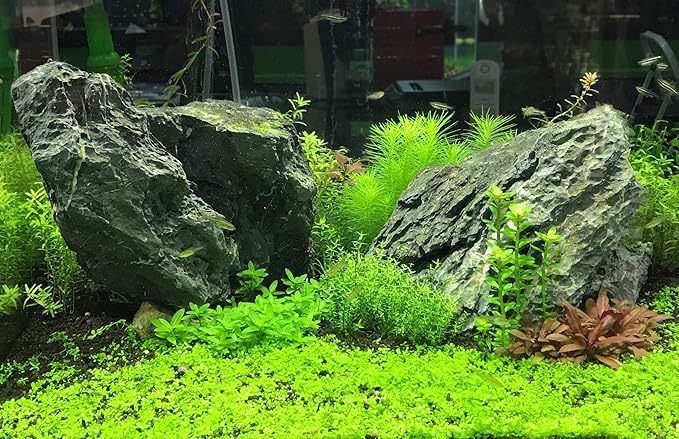 Seachem Flourish Advance Growth Supplement - Aquatic Plant Aid 500 ml