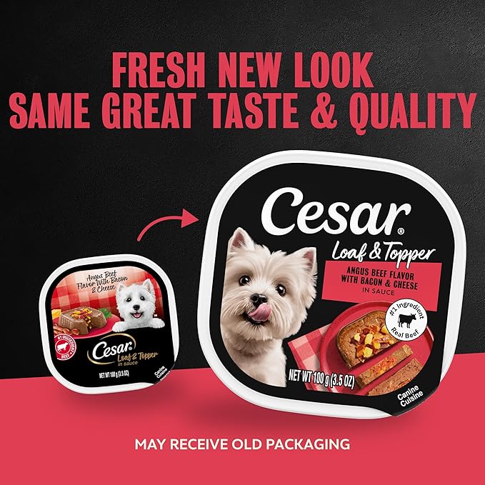 Cesar Loaf & Topper in Sauce Wet Dog Food Angus Beef Flavor with Bacon & Cheese, 3.5 oz. Easy Peel Trays, 24 Count (Pack of 1)