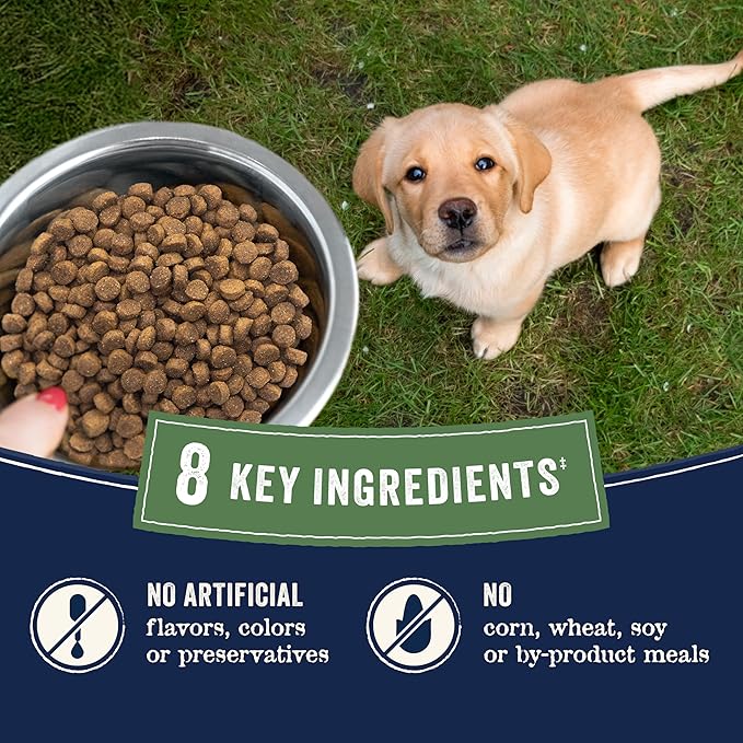Canidae Pure Farm to Bowl Wild-Caught Salmon & Sweet Potato, Puppy Dog Food, Grain-Free, 4lb
