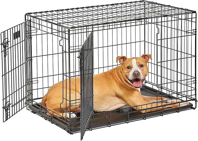MidWest Homes for Pets Intermediate LifeStages Double Door 36-Inch Folding Dog Crate, Enhanced Security, Includes Leak-Proof Pan, Divider Panel, Handle, Rubber Feet