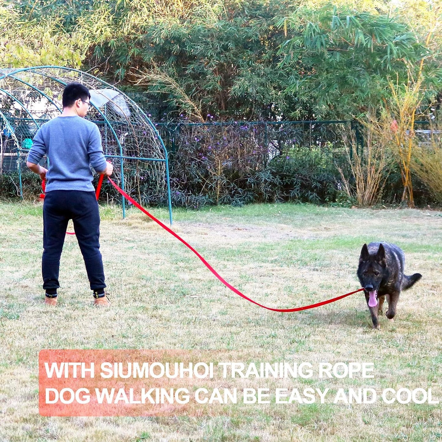 Dog/Puppy Obedience Recall Training Agility Lead - 15ft 20ft 30ft 40ft 50ft Training Leash - Great for Play, Camping, or Backyard - Blue 20ft