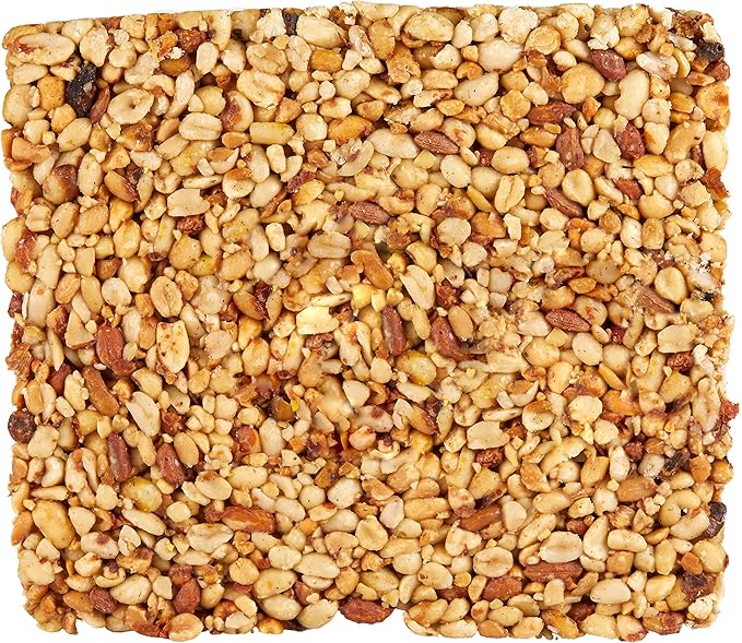 Kaytee Wild Bird Peanut Cake, 2.68 lb