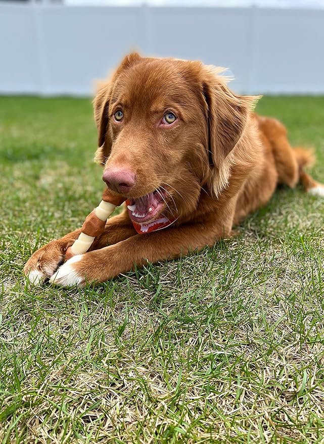 Nylabone Power Chew Shish Kabob Rawhide Alternative Nylon Chew Toy for Dogs, Dog Toys for Aggressive Chewers, Chicken, Large/Giant (1 Count)