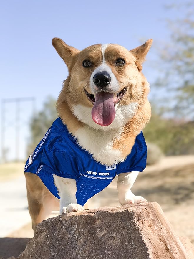 NFL New York Giants Dog Jersey, Size: X-Small. Best Football Jersey Costume for Dogs & Cats. Licensed Jersey Shirt