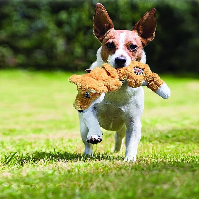 KONG - Scrunch Knots Squirrel - Internal Knotted Ropes and Minimal Stuffing for Less Mess - For Medium/Large Dogs