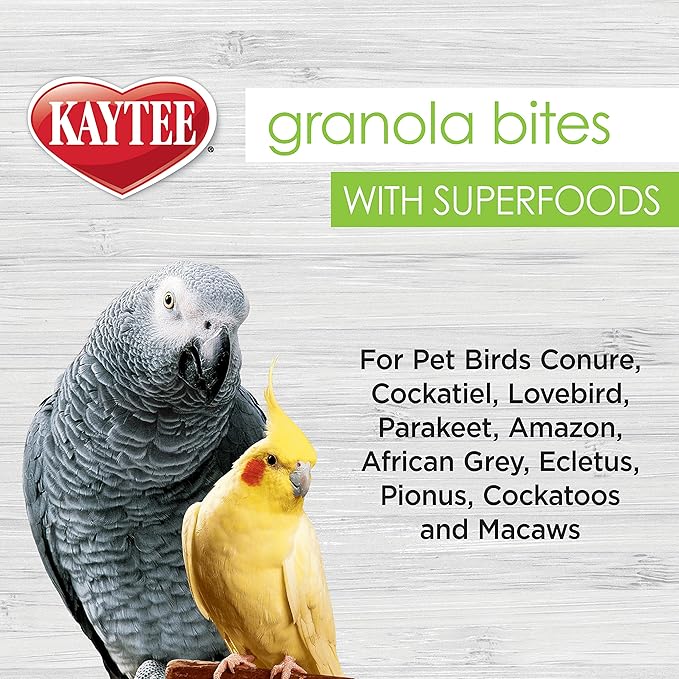 Kaytee Granola Bites with Super Foods Spinach and Kale for Pet Birds, Conure, Cockatiel, Lovebird, Parakeet, Amazon, African Grey, Ecletus, Pionus, Cockatoos and Macaws, 4.50 Ounce (Pack of 2)