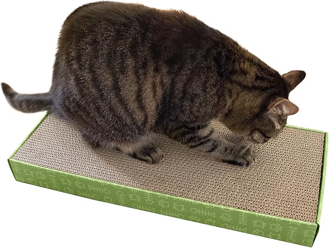 Furhaven Scratching Board w/ Catnip for Indoor Cats, Reversible - Classic Corrugated Cat Scratcher Pad - Green, Standard