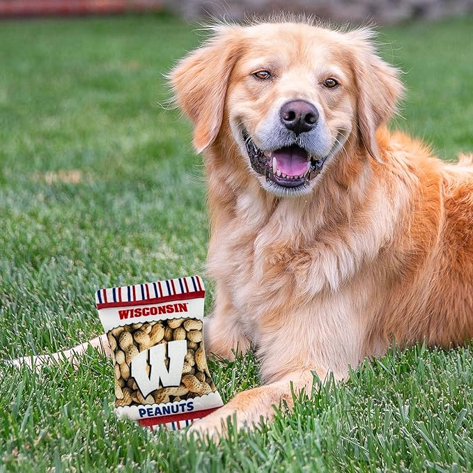 NCAA Wisconsin Badgers Crinkle FINE Plush Dog & CAT Squeak Toy- Cutest Stadium Peanuts Snack Toy for Dogs & Cats with Inner Squeaker & Beautiful Football/Basketball Team Name/Logo