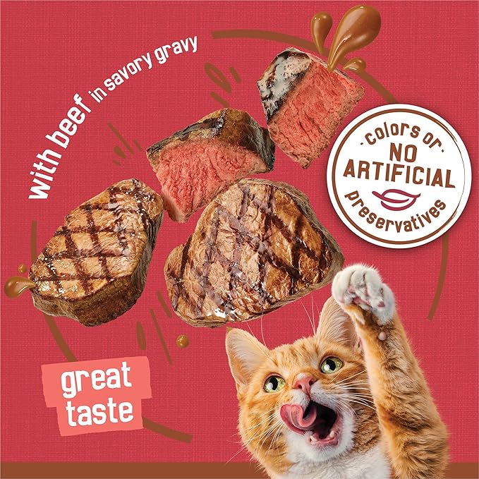 Friskies Purina Extra Gravy Wet Cat Food Chunky with Beef in Savory Gravy - 5.5 oz. Cans,(Pack of 48)