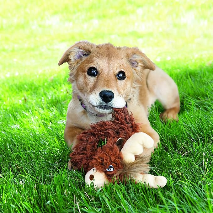 KONG Trekkers Moose Dog Toy, Small/Medium